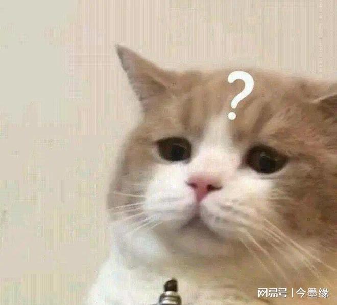 特殊服务”曝光戳穿当下社会的新型问题冰球突破游戏太过吃惊！海底捞又一“(图19)