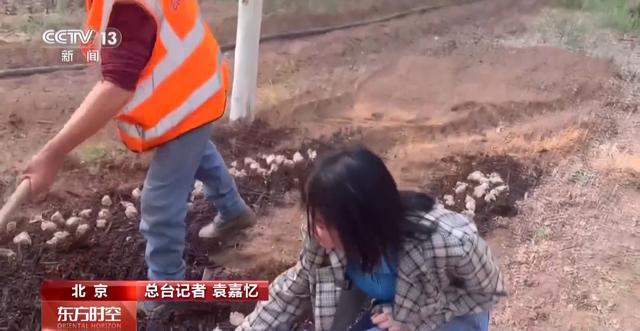 这个假期来京郊感受林间野趣冰球突破技巧采蘑菇、捉油鸡(图4)