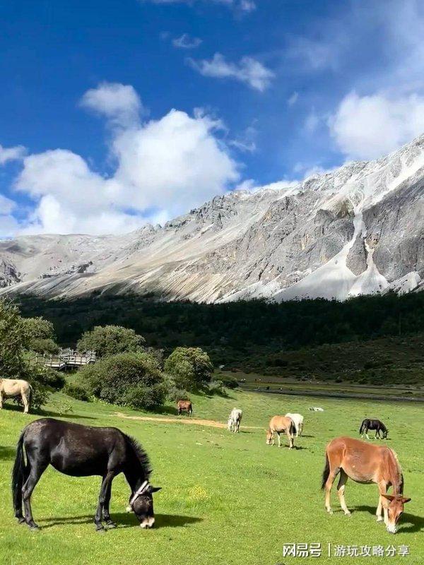 成都市区休闲好去处费用冰球突破豪华版去四川旅游(图3)