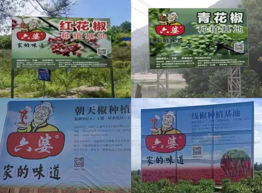 8亿袋一包辣椒面如何成为万能蘸料冰球突破平台六婆：一年销量超