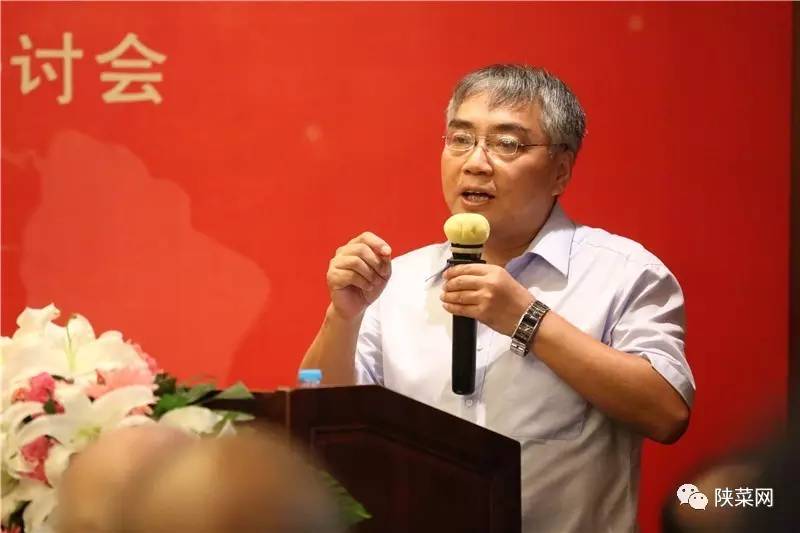 年纪念暨第七届文化研讨会在唐博圆满举行冰球突破陕菜资讯 陕菜品牌创新工程十(图7)